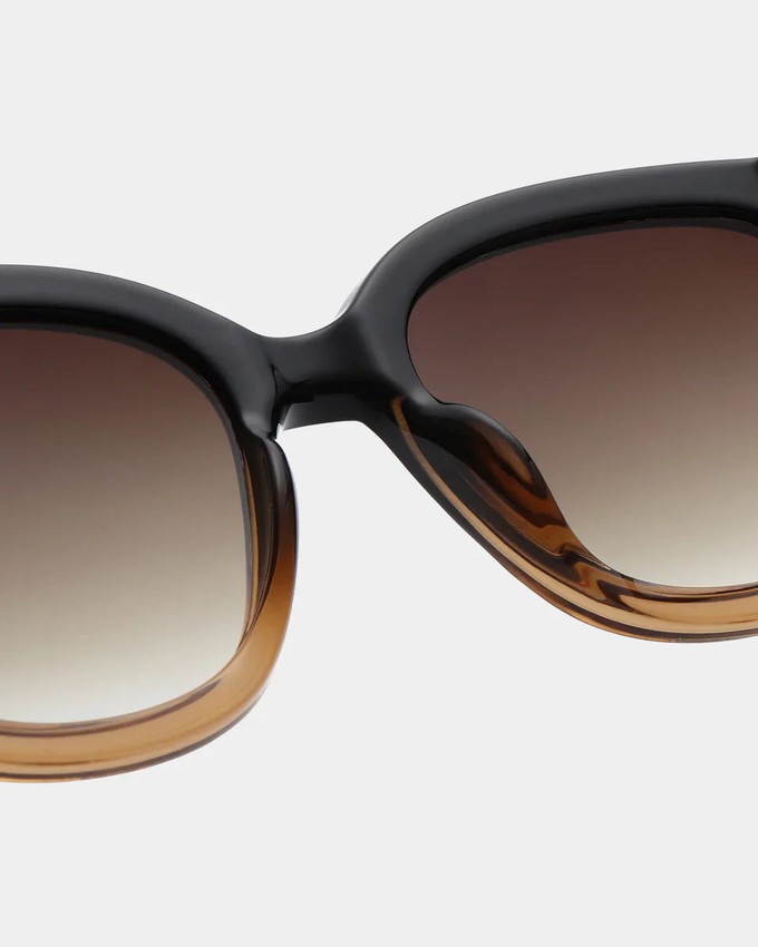 BILLY - Black/Brown Transparent Sunglasses by A.Kjaerbede from KOMODO