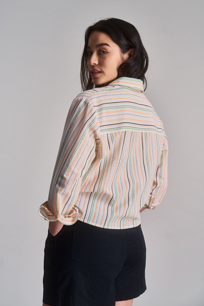 JUNGLE - Organic Cotton Shirt - Candy Stripe from KOMODO