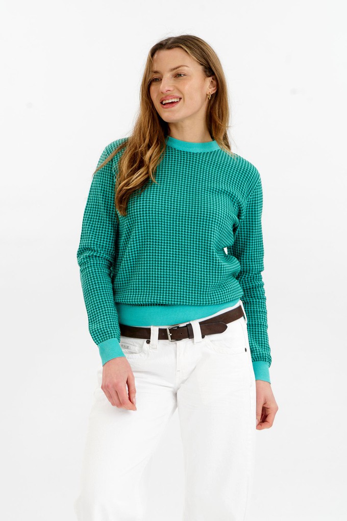 HANA Organic Cotton Jumper - Green & Cyan from KOMODO