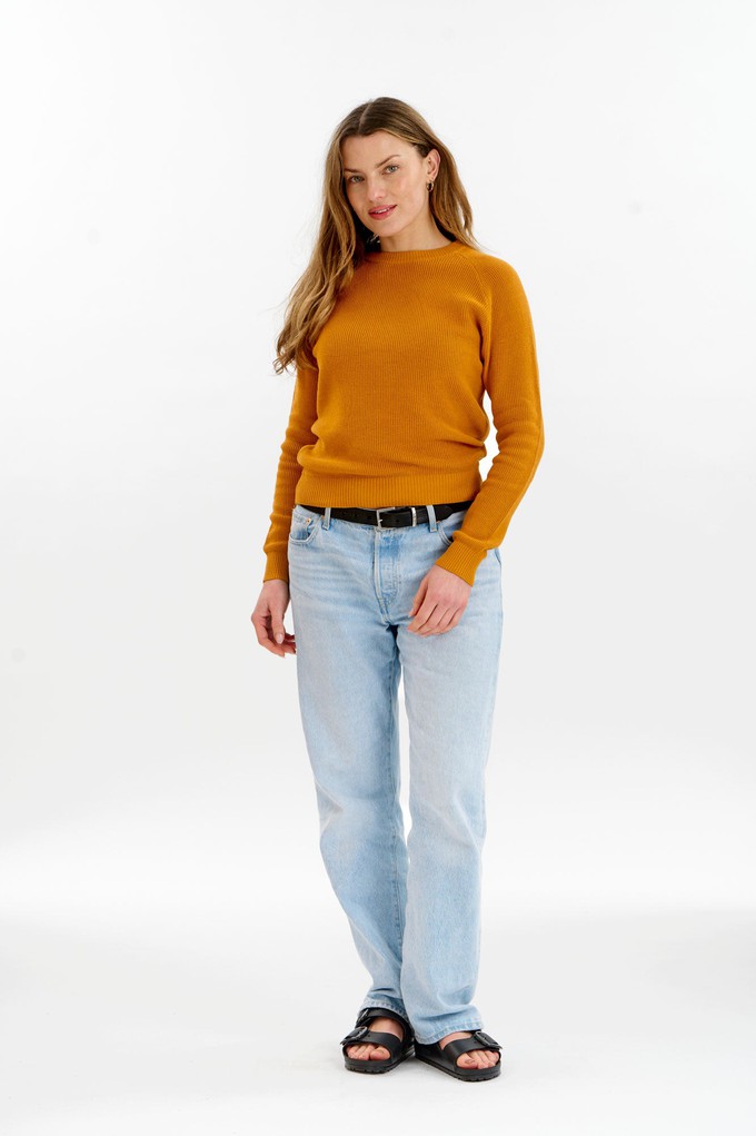 FOG Organic Cotton Jumper - Mustard from KOMODO