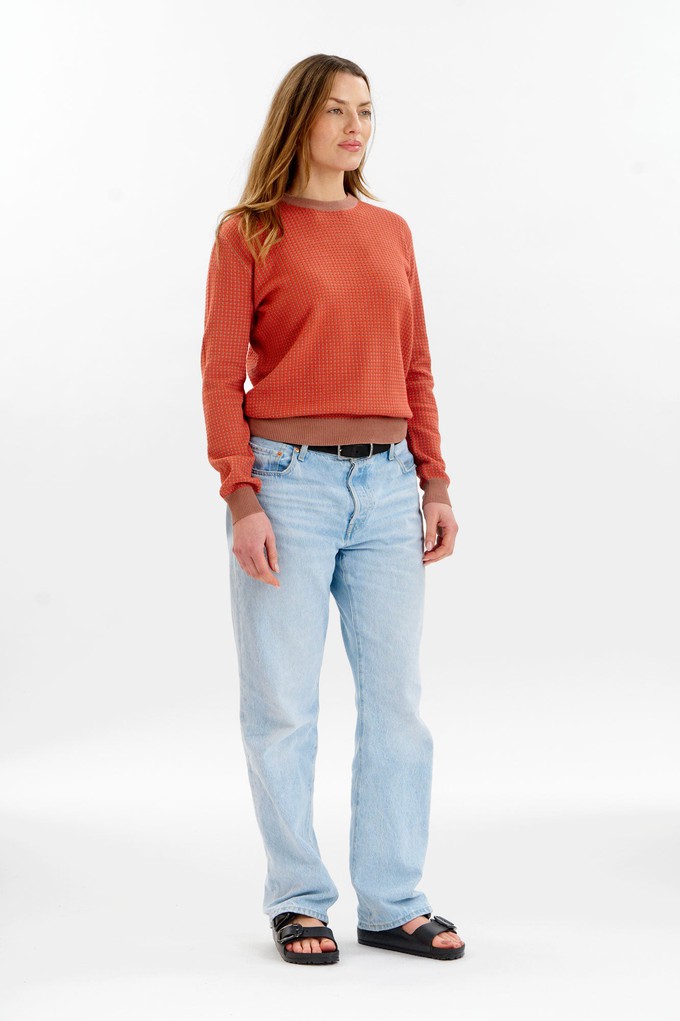HANA Organic Cotton Jumper - Coffee & Red from KOMODO