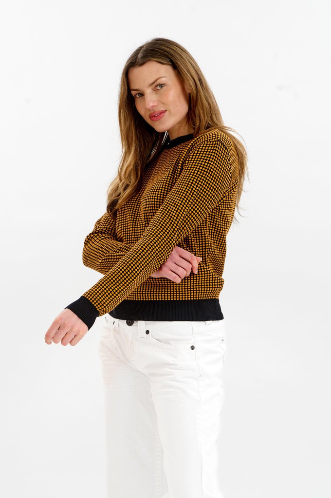 HANA Organic Cotton Jumper - Black & Mustard from KOMODO