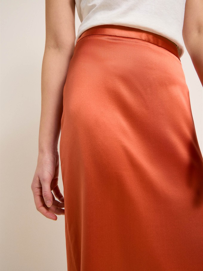 Silk skirt from LANIUS