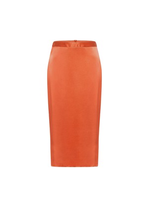 Silk skirt from LANIUS