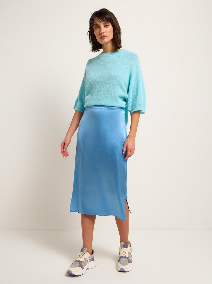 Silk skirt from LANIUS