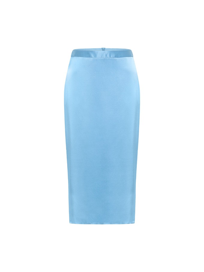 Silk skirt from LANIUS