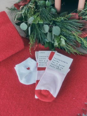 Socks with block stripes (GOTS) from LANIUS