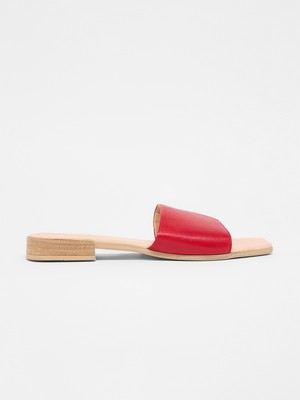 Carré mules from LANIUS