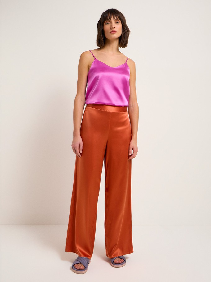 Silk pants from LANIUS