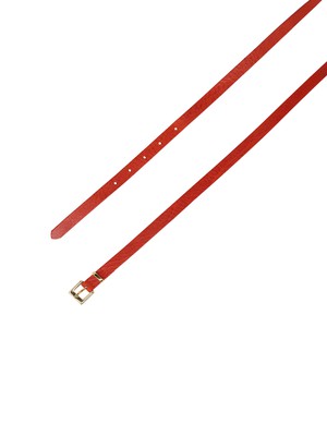Thin belt from LANIUS
