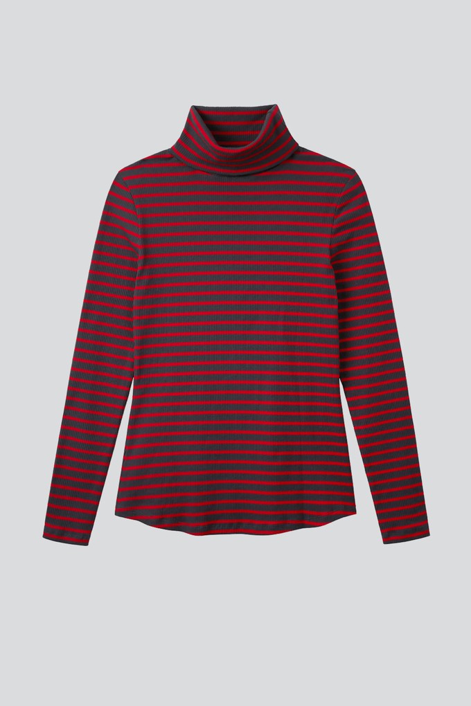 Striped Cotton Roll Neck from Lavender Hill Clothing