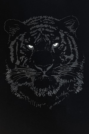 Black Tiger Sweater from Loenatix