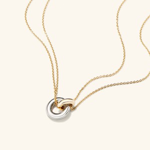 Linked Two-Tone Necklace from Mejuri