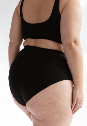 High Waisted Briefs, Black from Not Basics
