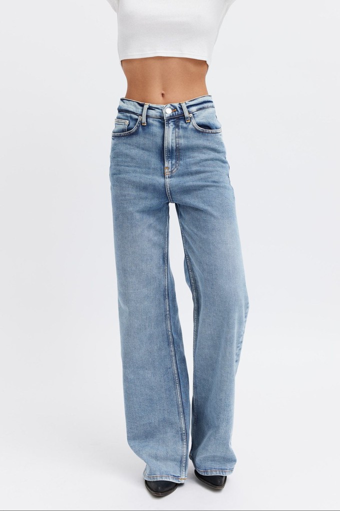 Wave™ Classic - The Bracing Wind from organsk