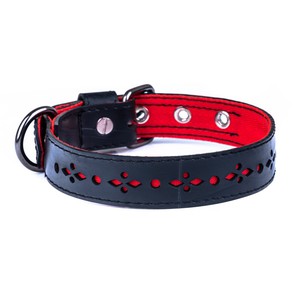 Eco Friendly Recycled Inner Tube Vegan Dog Collar from Paguro Upcycle