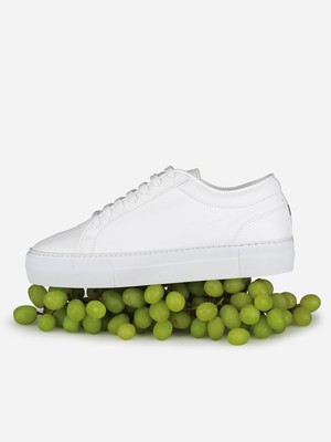 Grape Essential - Classic White from QURC. amsterdam