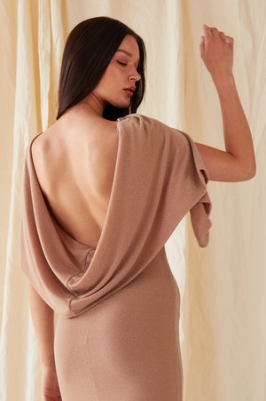 Mocha Backless Maxi Dress from Sarvin