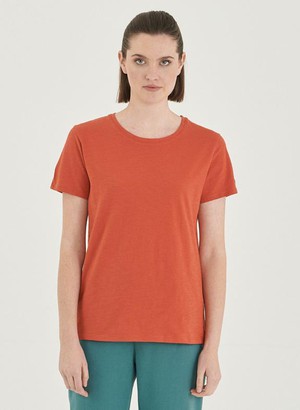 T-Shirt Basic Saffron Orange from Shop Like You Give a Damn