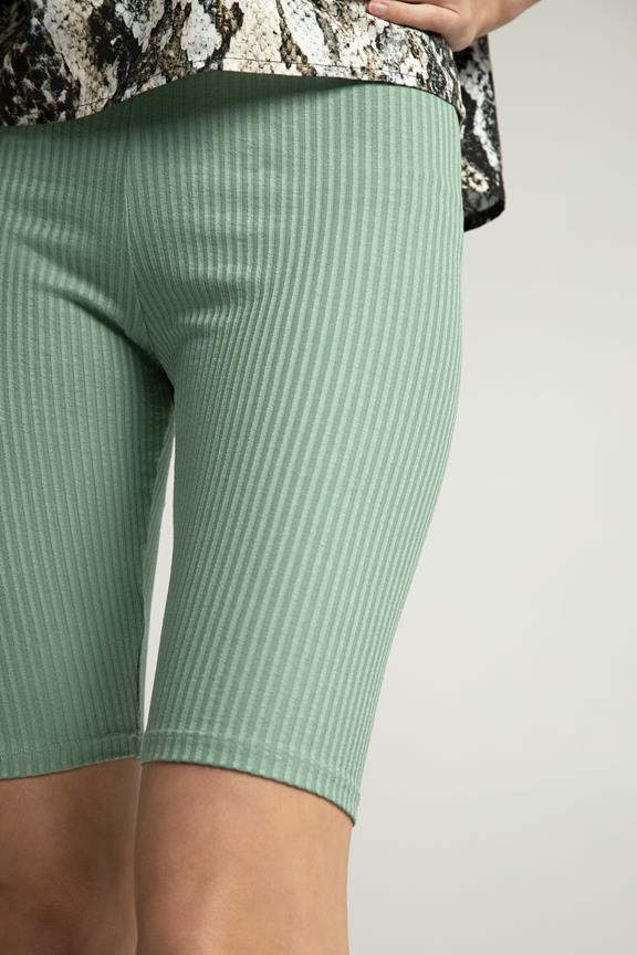 Bike Shorts Aenis Green from Shop Like You Give a Damn