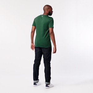 T-shirt - Earth - Round Neck - Jungle from SKOT