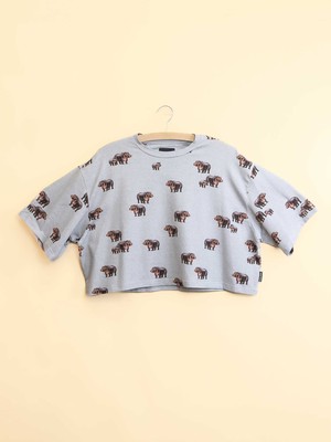 Hippos Cropped T-shirt and Shorts set Women from SNURK