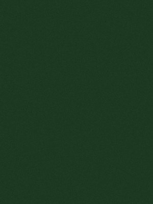 Dark Green Legging Women from SNURK