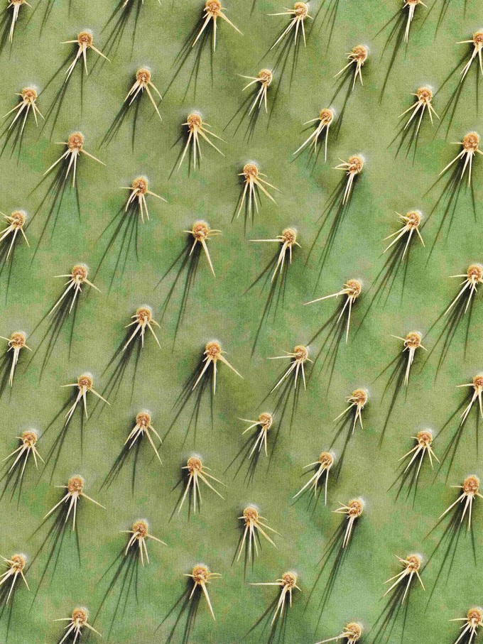 Cozy Cactus Top Women from SNURK