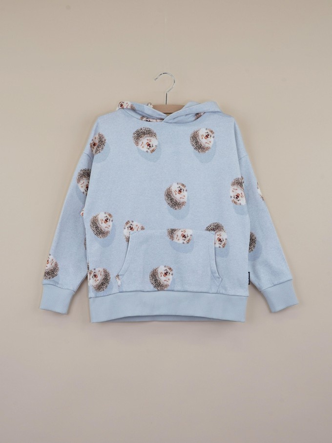 Hedgy Grey Oversized hoodie Kids from SNURK