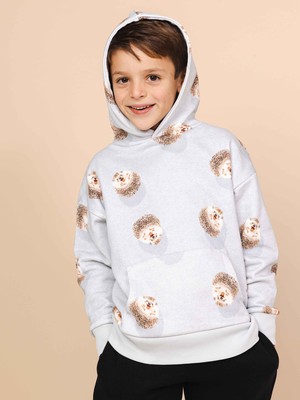 Hedgy Grey Oversized hoodie Kids from SNURK