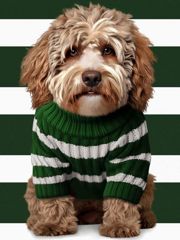 Labradoodle Longsleeve Dress Kids from SNURK