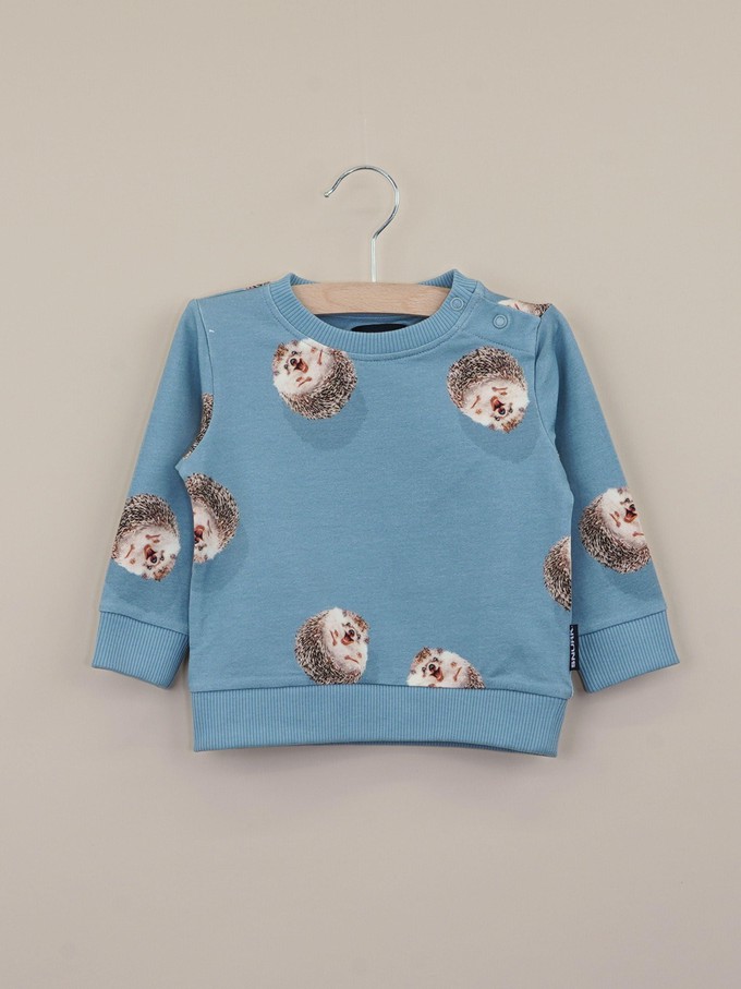 Hedgy Blue Sweater Baby from SNURK