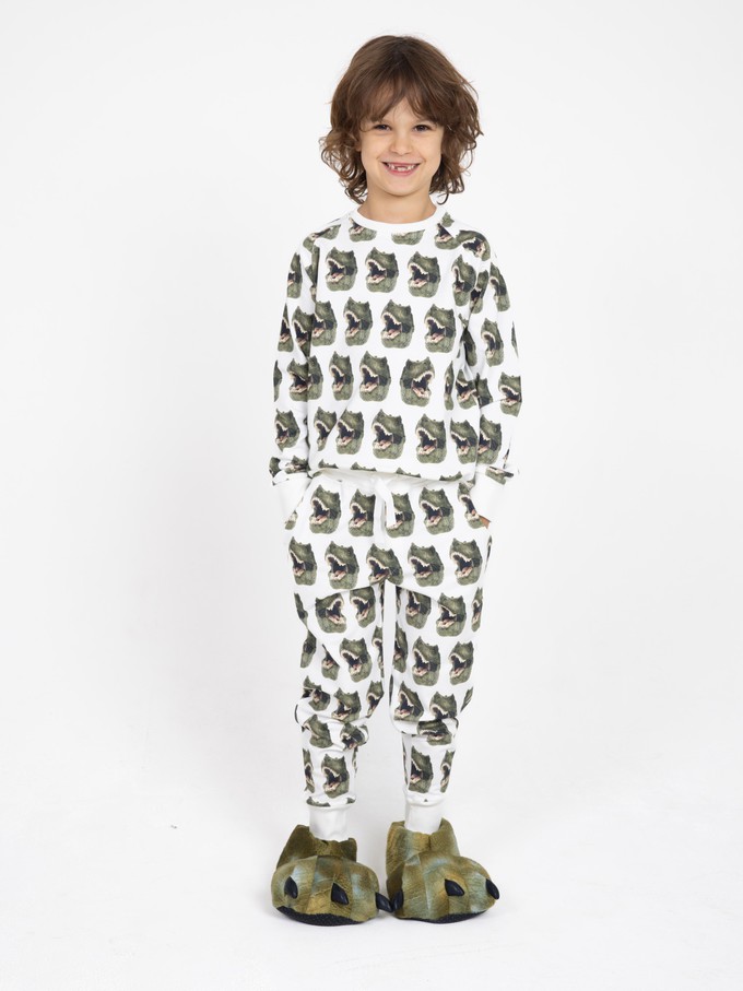 Dino sweater for kids from SNURK