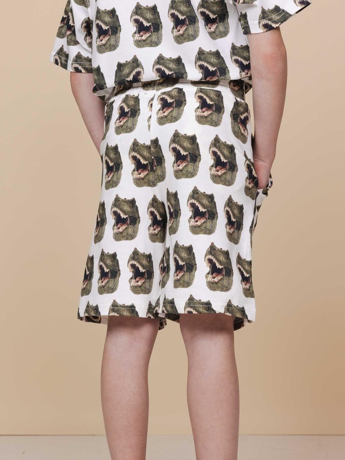 Dino Shorts Kids from SNURK