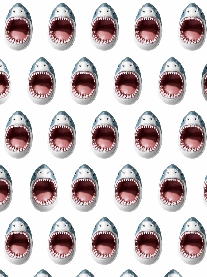 Shark!! Shorts Kids from SNURK
