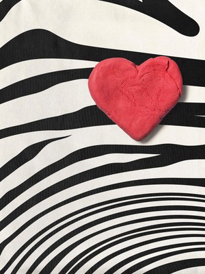Zebra Love Strap top Women from SNURK