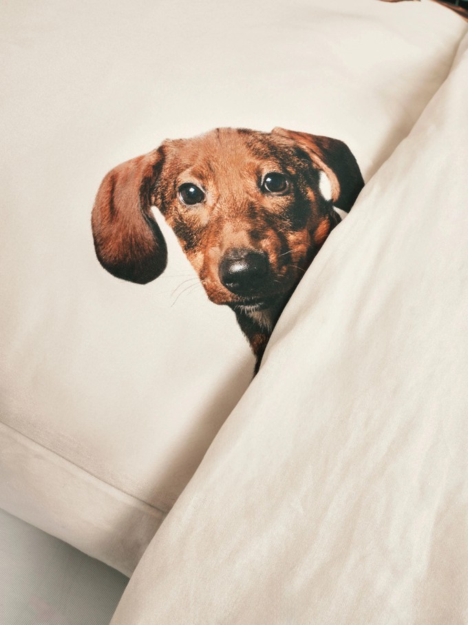 Dachshund Friends pillowcase from SNURK