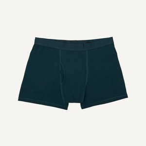 Organic Cotton Men's Boxer Brief in Meridian from Subset
