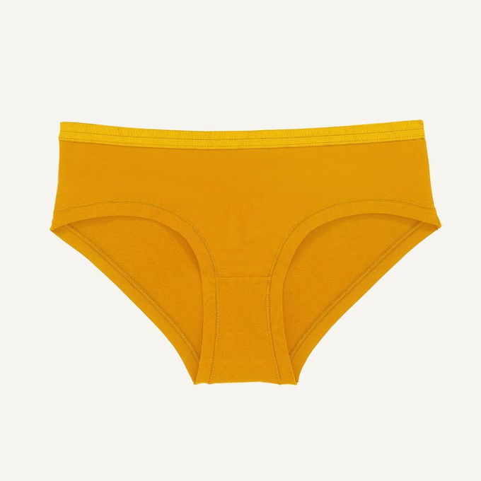 SALE Mid-Rise Hipster in Bumble from Subset