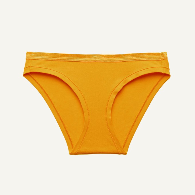 SALE Low-Rise Bikini in Bumble from Subset