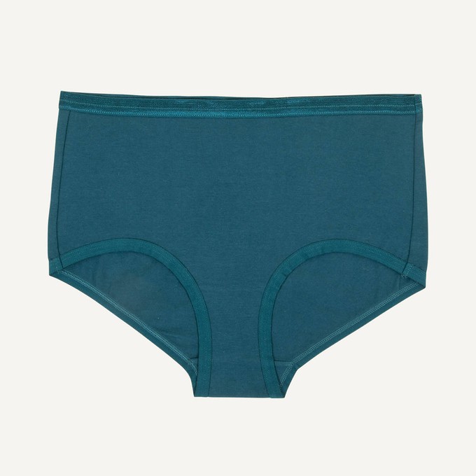 Organic Cotton Mid-Rise Retro Brief in Meridian from Subset