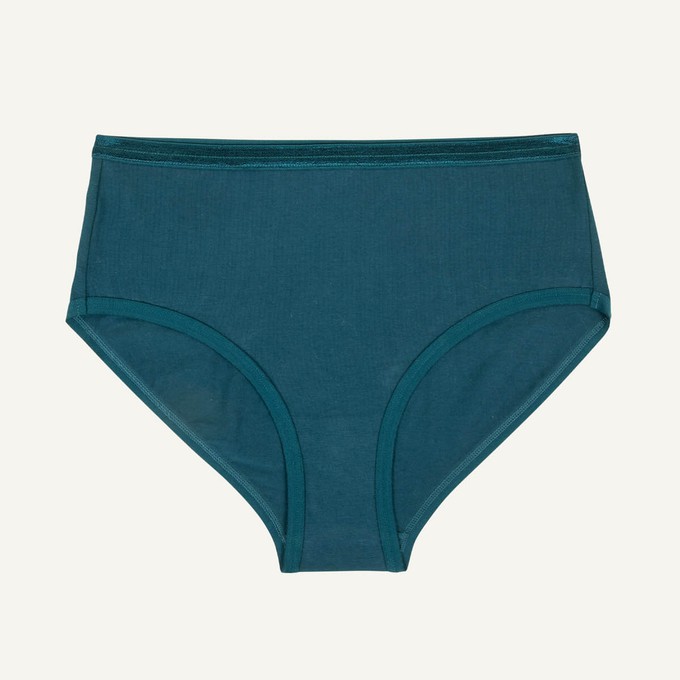 Organic Cotton Mid-Rise Brief in Meridian from Subset