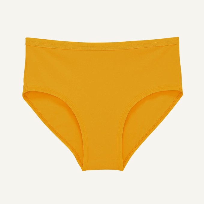 SALE Mid-Rise Brief in Bumble from Subset