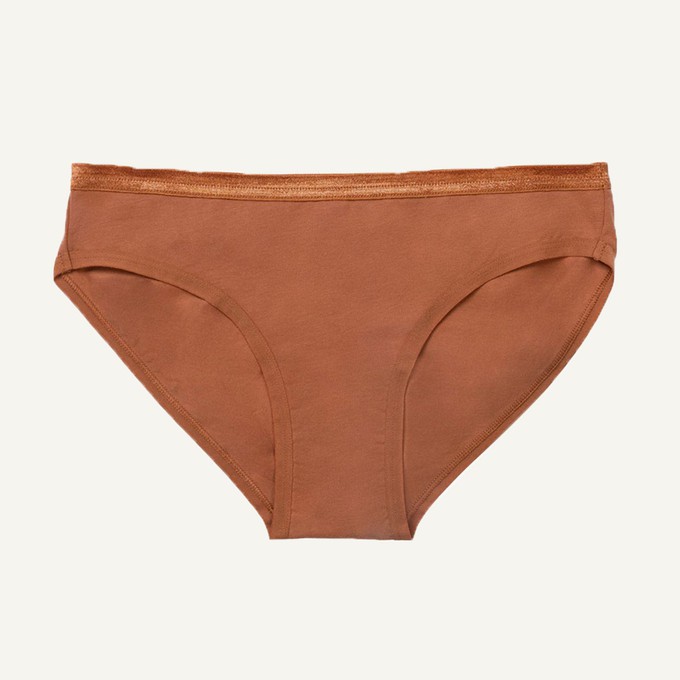 Organic Cotton Low-Rise Brief in Spice from Subset