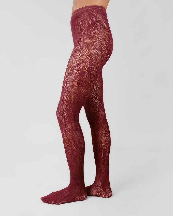 Rosa Lace Tights from Swedish Stockings