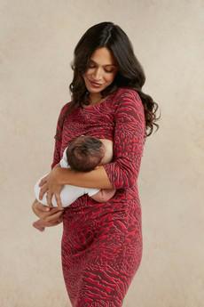 Audrey Fig Animal Print Maternity and Nursing Dress | Red via Tilbea London
