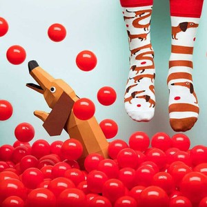 Many Mornings Sausage Dog Sokken from UP TO DO GOOD