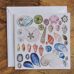 Single Fynbos Greeting Card from Urbankissed