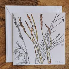 Single Fynbos Greeting Card via Urbankissed