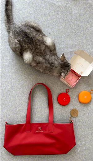 Palindrome Reversible Tote from Veganologie